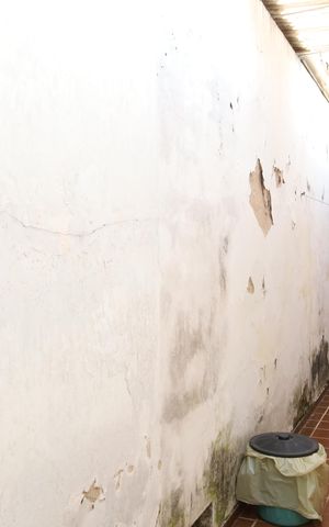 Casa à venda com 250m², 3 quartos e 5 vagasQuintal