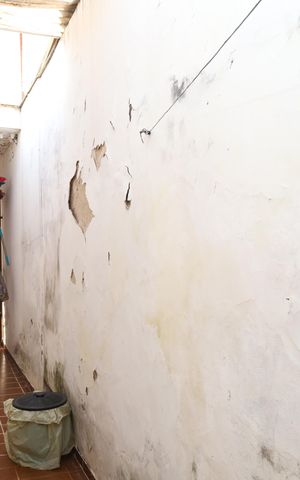 Casa à venda com 250m², 3 quartos e 5 vagasQuintal