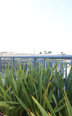 Apartamento à venda com 62m², 1 quarto e 2 vagasPiscina 