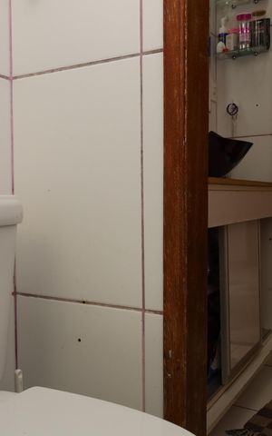 Apartamento à venda com 55m², 3 quartos e 1 vagaBanheiro