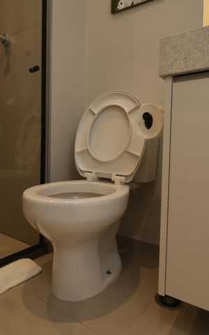 Apartamento para alugar com 28m², 1 quarto e sem vagaBanheiro