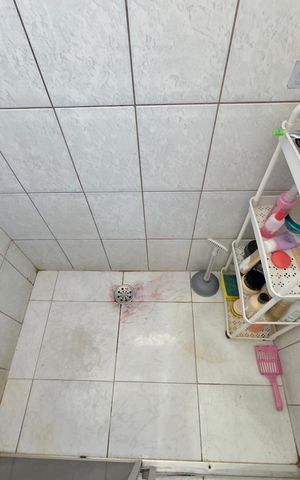 Apartamento para alugar com 58m², 2 quartos e 1 vaga Apartamento para alugar com 58m², 2 quartos e 1 vagaBanheiro