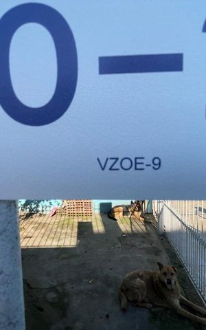 Casa para alugar com 98m², 3 quartos e 2 vagas Casa para alugar com 98m², 3 quartos e 2 vagasPlaca instalada em 14/07/2026 com o código VZOE-9