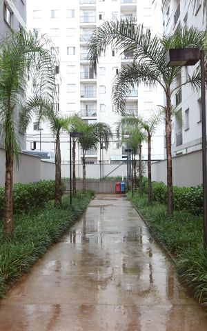 Apartamento para alugar com 38m², 2 quartos e sem vagaÁrea comum