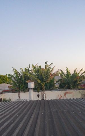 Casa à venda com 240m², 5 quartos e 2 vagasvista do Quarto 5