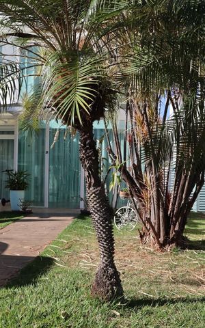 Casa à venda com 480m², 4 quartos e 6 vagasJardim