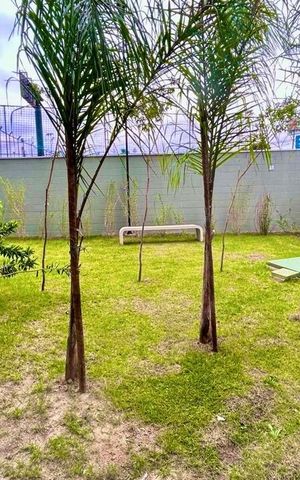 Apartamento à venda com 35m², 2 quartos e sem vaga Apartamento à venda com 35m², 2 quartos e sem vagaÁrea comum