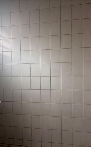 Apartamento para alugar com 55m², 2 quartos e 1 vaga Apartamento para alugar com 55m², 2 quartos e 1 vagaÁrea de serviço