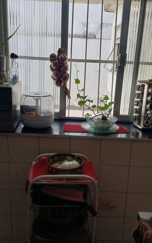 Casa de condomínio à venda com 250m², 3 quartos e 1 vaga Casa de condomínio à venda com 250m², 3 quartos e 1 vagaCozinha