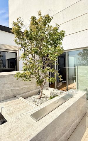 Apartamento à venda com 256m², 4 quartos e 3 vagasTerraço 