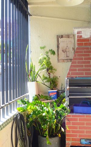 Casa para alugar com 80m², 2 quartos e 1 vagaChurrasqueira