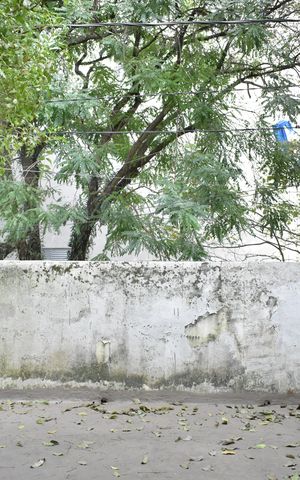 Casa para alugar com 240m², 4 quartos e 2 vagasEdícula