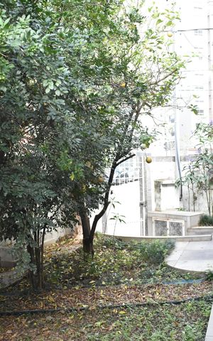Casa para alugar com 240m², 4 quartos e 2 vagasJardim