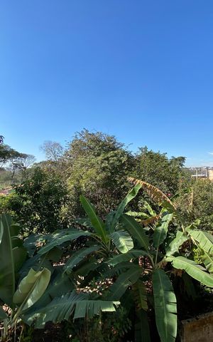 Apartamento à venda com 59m², 2 quartos e 1 vaga Apartamento à venda com 59m², 2 quartos e 1 vagaVista da Sala