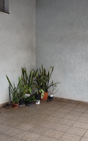 Casa à venda com 130m², 3 quartos e 1 vagaÁrea comum