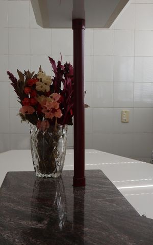 Apartamento à venda com 250m², 4 quartos e 4 vagasCozinha 