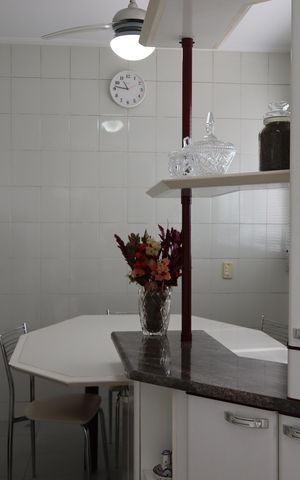 Apartamento à venda com 250m², 4 quartos e 4 vagasCozinha 