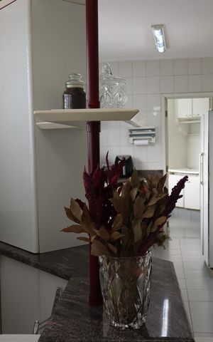Apartamento à venda com 250m², 4 quartos e 4 vagasCozinha 