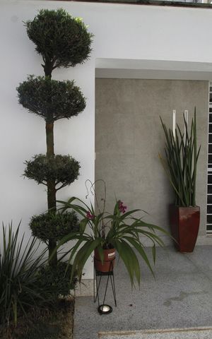 Casa à venda com 291m², 5 quartos e 8 vagasEntrada