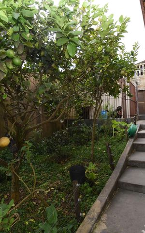 Casa à venda com 440m², 4 quartos e 3 vagasÁrea externa