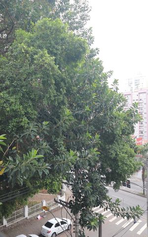 Apartamento à venda com 49m², 2 quartos e 1 vagaVista Varanda Quarto 1 suíte