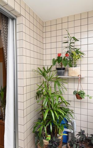 Apartamento à venda com 89m², 3 quartos e 1 vagaVaranda 