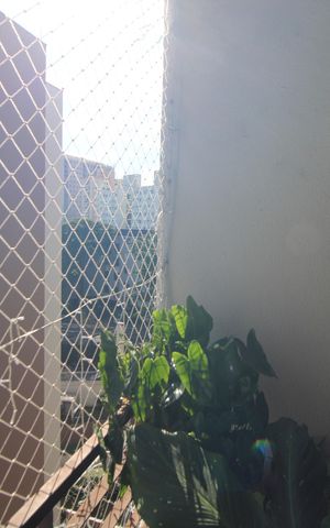 Apartamento à venda com 47m², 2 quartos e 1 vagaSala - Varanda