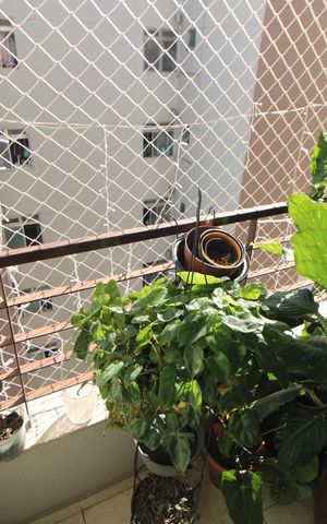 Apartamento à venda com 47m², 2 quartos e 1 vagaSala - Varanda