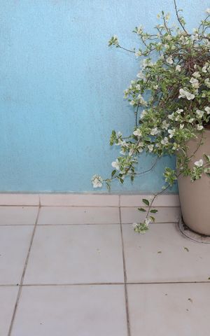 Casa à venda com 93m², 2 quartos e 2 vagasVaranda da Suíte 2
