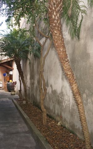 Casa para alugar com 127m², 3 quartos e 2 vagasCorredor 2