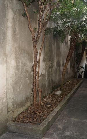 Casa para alugar com 127m², 3 quartos e 2 vagasCorredor 2