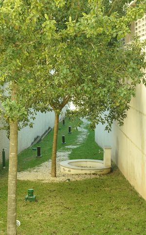 Apartamento à venda com 48m², 2 quartos e 1 vagaÁrea comum - Pet
