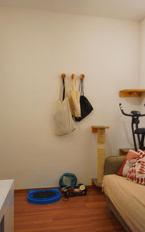 Apartamento para alugar com 51m², 2 quartos e 1 vagaSala