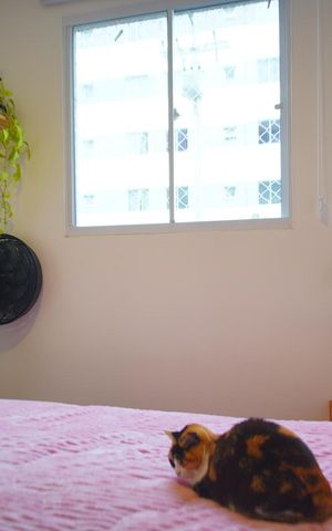 Apartamento para alugar com 51m², 2 quartos e 1 vagaQuarto 1