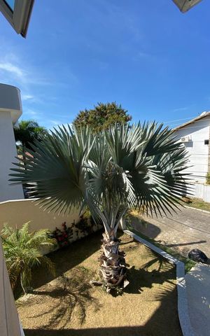 Casa de condomínio para alugar com 191m², 4 quartos e sem vaga Casa de condomínio para alugar com 191m², 4 quartos e sem vagaÁrea externa