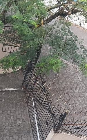 Apartamento para alugar com 38m², 1 quarto e 1 vaga Apartamento para alugar com 38m², 1 quarto e 1 vagaVista da janela