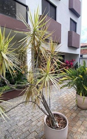 Apartamento à venda com 178m², 3 quartos e 2 vagas
