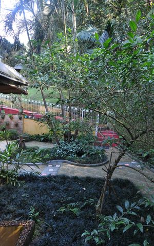 Casa para alugar com 430m², 2 quartos e 5 vagasVista da Suíte 1