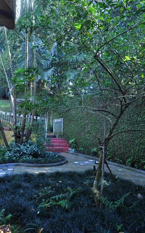 Casa para alugar com 430m², 2 quartos e 5 vagasJardim