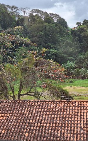 Casa à venda com 500m², 9 quartos e 2 vagas Casa à venda com 500m², 9 quartos e 2 vagasQuarto 7