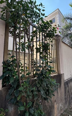 Apartamento à venda com 45m², 2 quartos e 1 vaga Apartamento à venda com 45m², 2 quartos e 1 vagaplaquinha instalada 12/08/2026 JWUT-281