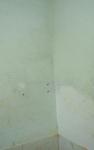 Casa à venda com 90m², 3 quartos e sem vaga Casa à venda com 90m², 3 quartos e sem vagaQuarto 1