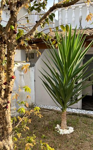Casa para alugar com 360m², 4 quartos e 3 vagas Casa para alugar com 360m², 4 quartos e 3 vagasJardim
