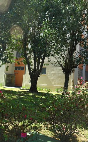 Apartamento para alugar com 80m², 3 quartos e 1 vagaÁrea comum