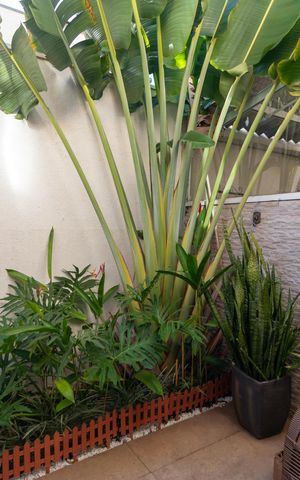 Casa de condomínio à venda com 77m², 3 quartos e 2 vagas Casa de condomínio à venda com 77m², 3 quartos e 2 vagasQuintal