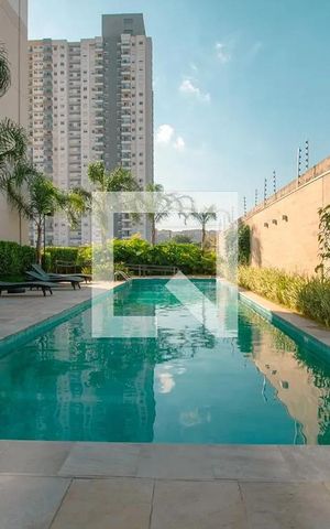 Apartamento para alugar com 31m², 1 quarto e sem vaga Apartamento para alugar com 31m², 1 quarto e sem vagaPiscina