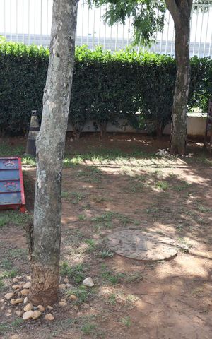 Apartamento à venda com 51m², 1 quarto e 1 vagaÁrea comum - Espaço Pet