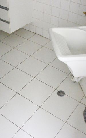 Apartamento à venda com 55m², 2 quartos e 1 vagaÁrea de serviço