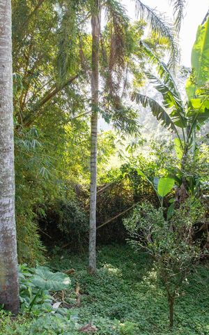 Casa para alugar com 1400m², 3 quartos e 4 vagasArea Verde