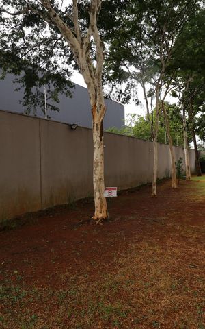 Apartamento à venda com 88m², 3 quartos e 2 vagasÁrea comum 